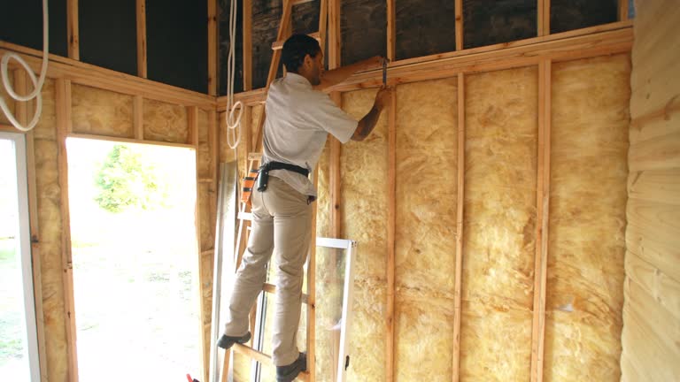 Best Garage Insulation  in Georgetown, OH